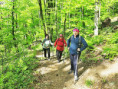 /album/26-04-2026-krivostianka-pokracovanie-100-jkm-humenske-vrchy/img-0002-w-jpg1/