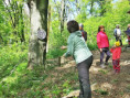 /album/26-04-2026-krivostianka-pokracovanie-100-jkm-humenske-vrchy/img-0016-w-jpg/