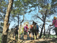 /album/25-28-06-2026-sulovske-skaly-sulovske-vrchy/img-0008-w-jpg/
