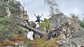 /album/4/img-0030-w-jpg/